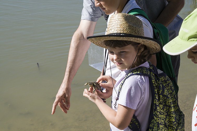 Alliberament de tortugues Recurs Text