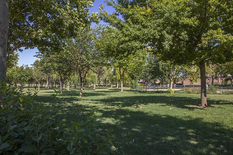 Zones Ajardinades Mollerussa 2