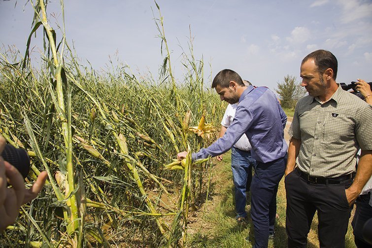 Visita del director territorial Ferran de Noguera a les finques afectades