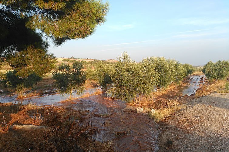 Rebentada canonada de reg del Canal Segarra-Garrigues