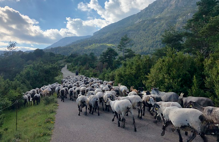 Agenda Rural de Catalunya
