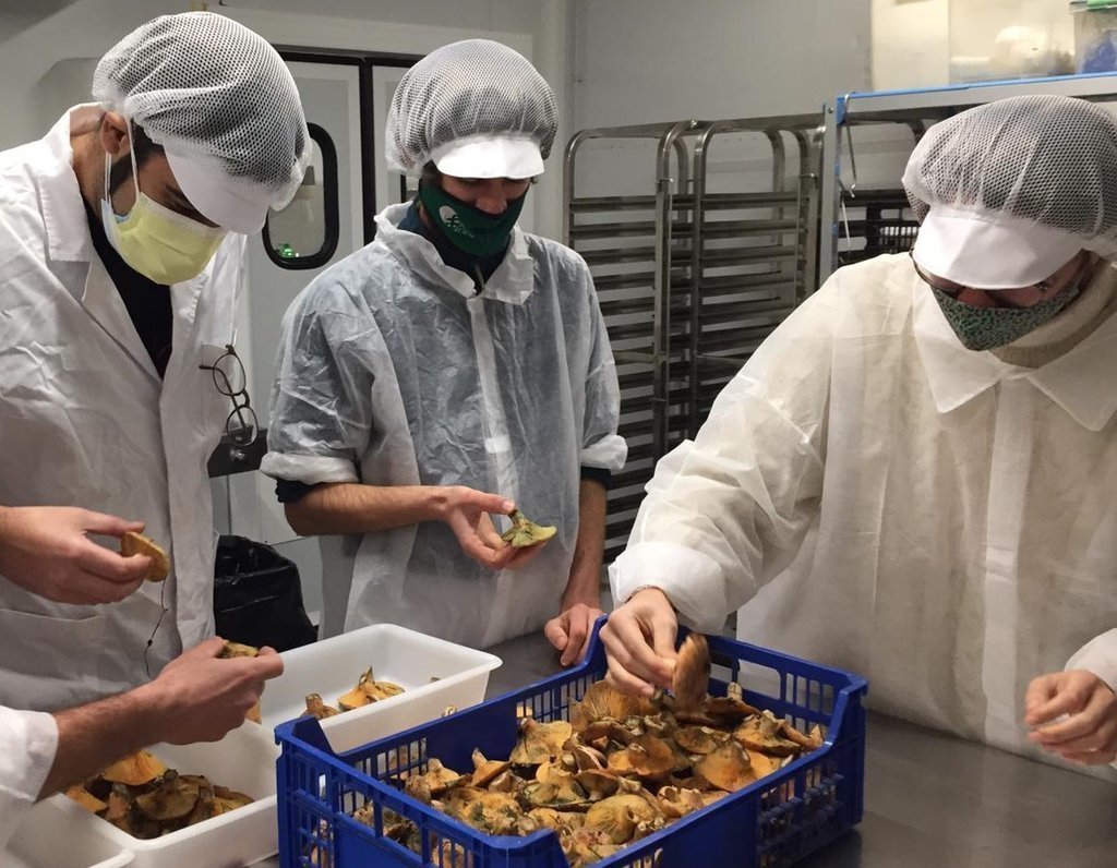 IMG_005 Elaboració bolets (cos text)