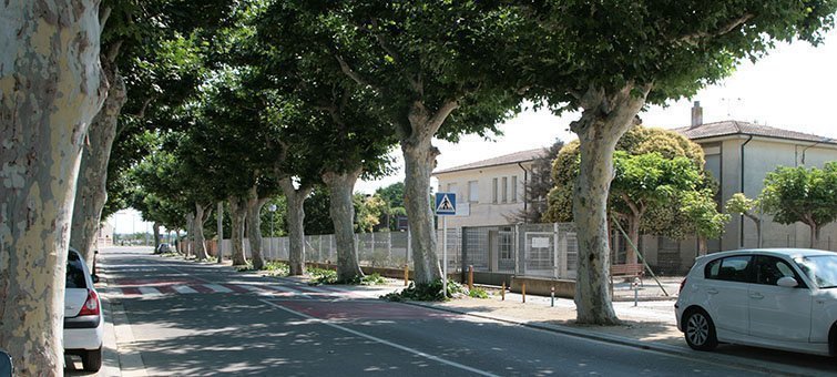 Imatge de l'avinguda Sant Roc del Palau d'Anglesola