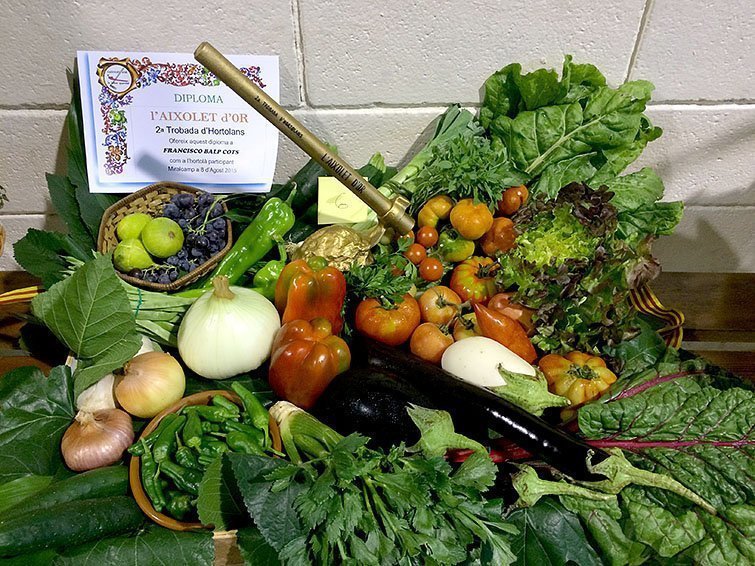 Hortalisses de Miralcamp