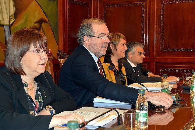 Ple de la Diputació de Lleida