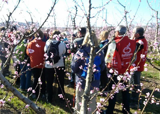 Aitona temporada Turística texte