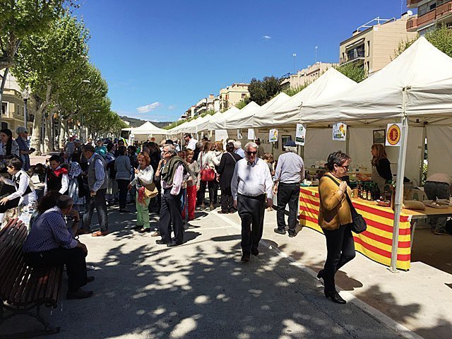 Visitants del diumenge al matí a la Fira de l'Oli d'Arenys de Mar, amb la DOP Les Garrigues texte