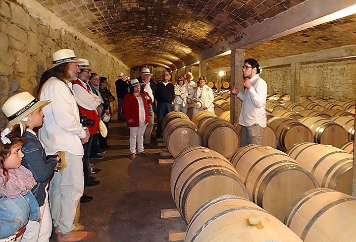 Visita del públic als cellers del Castell del Remei
