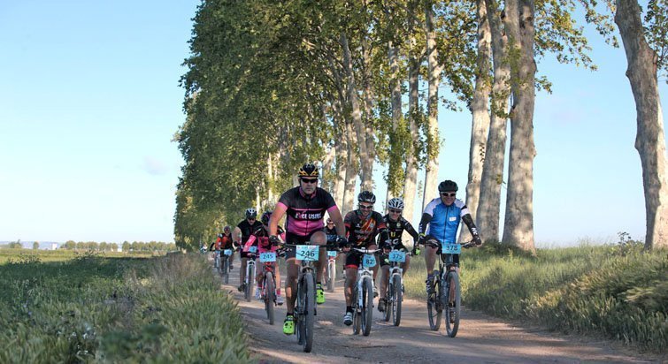 CatiGat Torregrossa 2