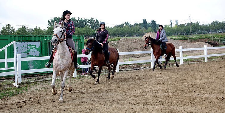 El cicle d'hipìca en l'INS Mollerussa