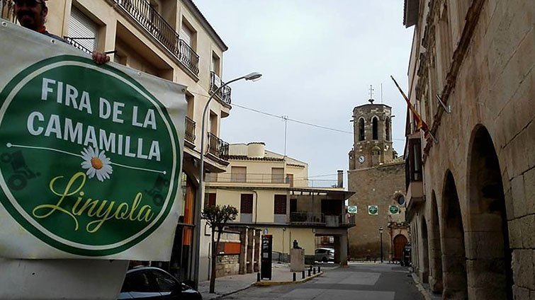 Linyola es prepara per la Fira de la Camamilla