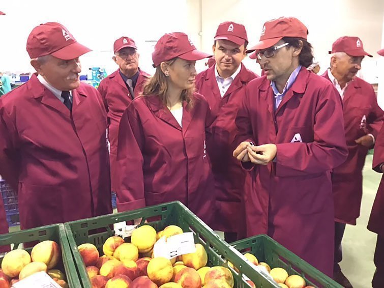 foto actelgrup texto