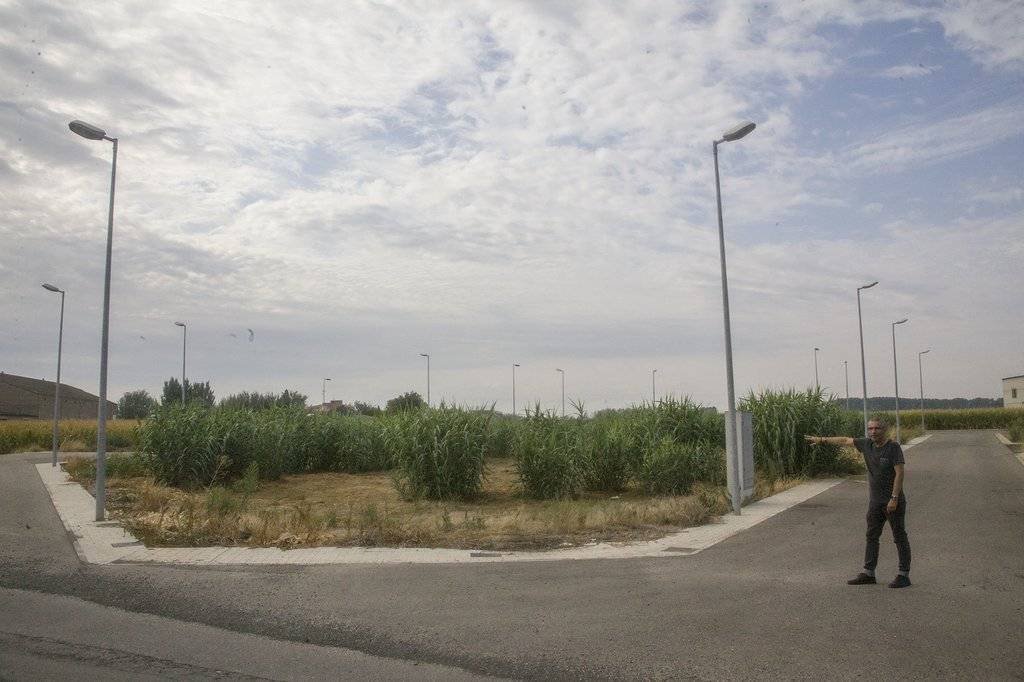 Rafel Panadés ensenya el solar ons s'ha de construir l'escola