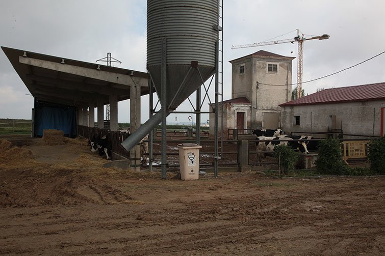 Instal·lacions ramaderes de l'INS Mollerussa