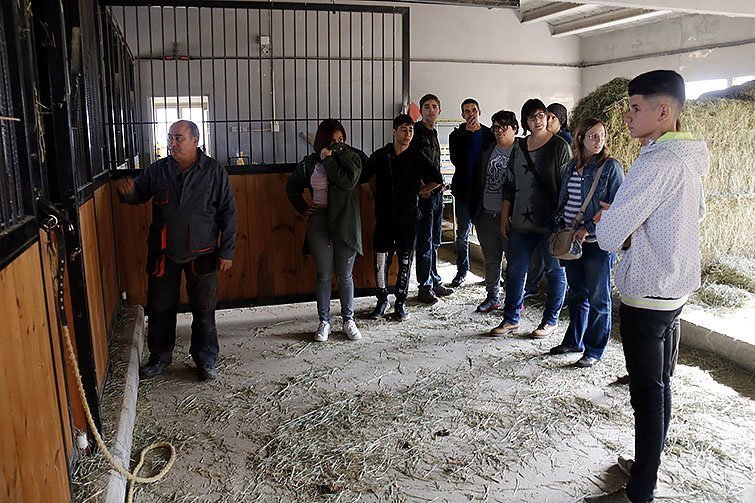 Pla general on es pot veure els alumnes de l'IFE a l'INS Mollerussa amb els professors a la quadra dels cavalls del centre, el 24 d'octubre de 2016. (Horitzontal)