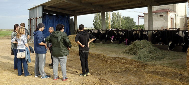 Pla general amb els alumnes de l'IFE observant els vedells de l'explotació ramadera de l'INS Mollerussa, el 24 d'octubre de 2016 ACN portada