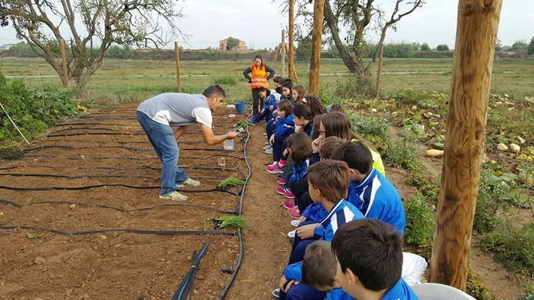 Els alumnes de l'escola Mossèn Ton Clavé aprenen a fer hort