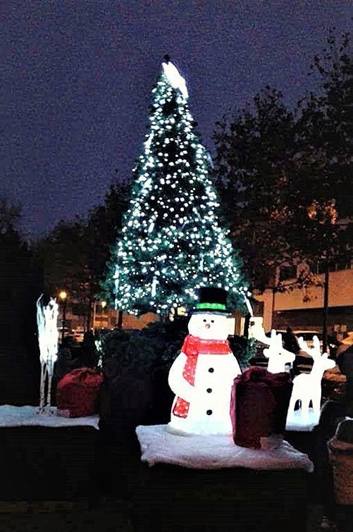 Torregrossa llums de Nadal