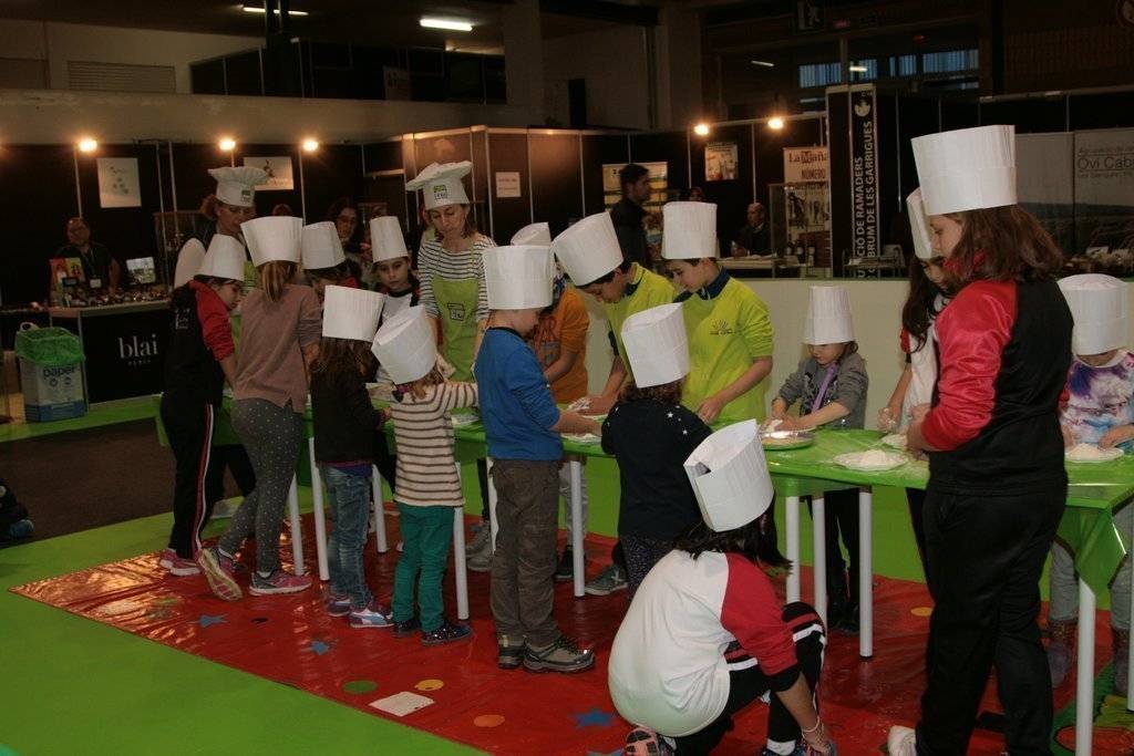 Taller de coca d'oli d'oliva verge extra