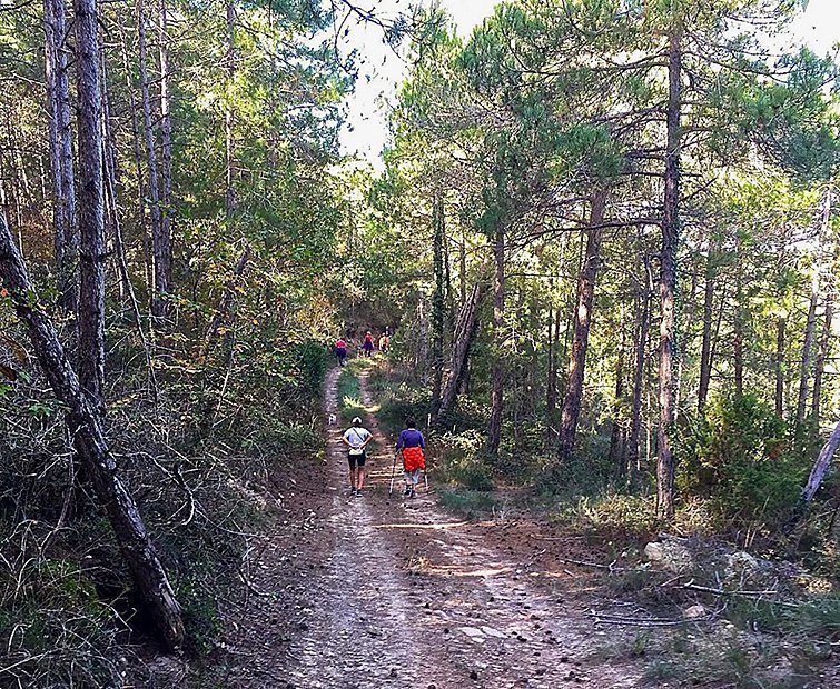 PRIMERA EDICIÓ DE LA MARXA HEROICA 1