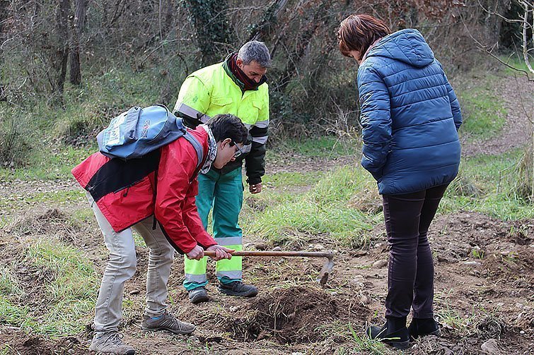 Balaguer Plantada d'arbre 2017 1 texte