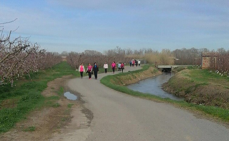 Soses celebra el Dia de la Dona Treballadora txte