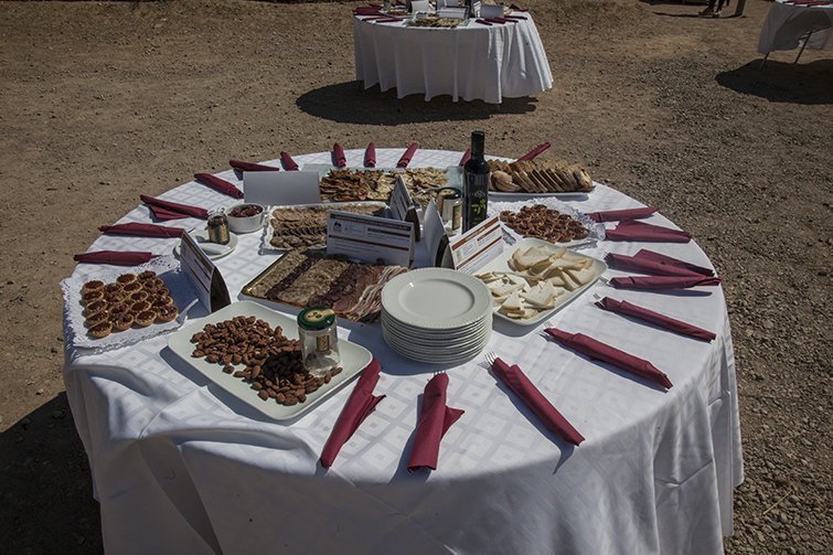 Presentació activitats projecte Espais Naturals de Ponent  (4)