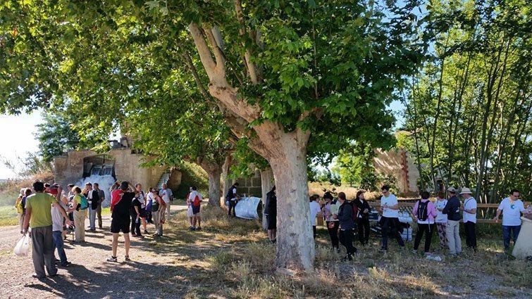 Accions de la plataforma Canal Viu a Mollerussa