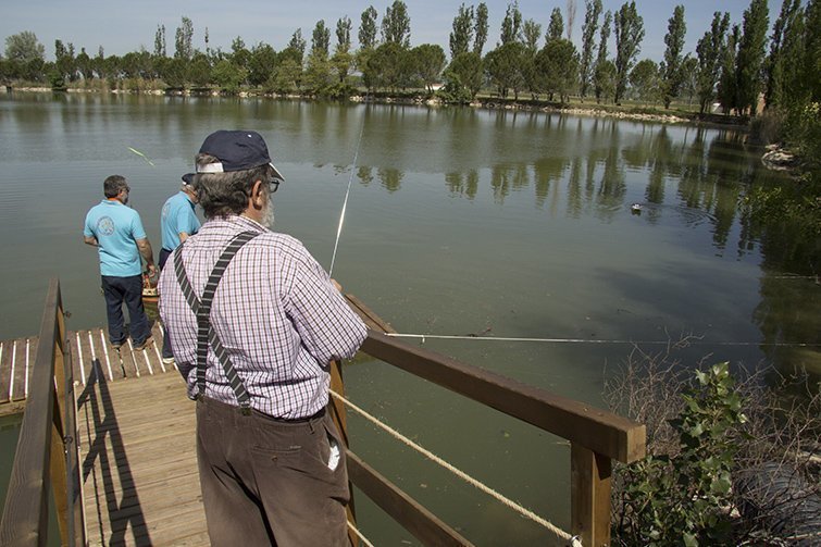 Aplec del Castell del Remei amb una gran varietat d'activitats, maquetes