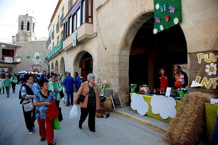 Fira de la camamilla i plantes medicinals de Linyola 1
