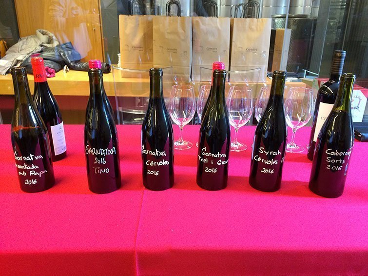 Recerca de vins monovarietals amb la base de garnatxa