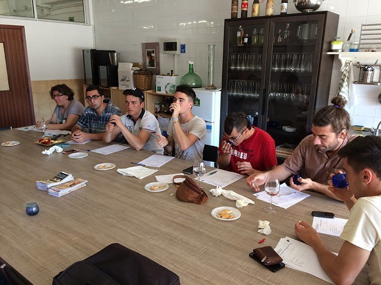 Aula de pràctiques del cicle superior vitinicultura