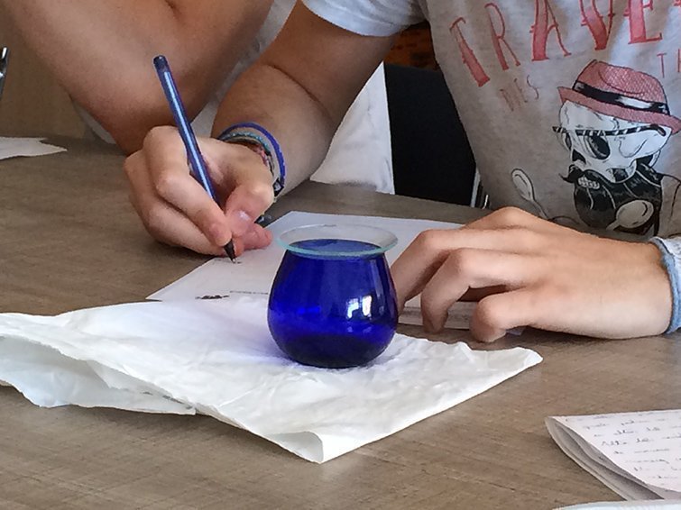 INS Josep Vallverdú Borges Blanques