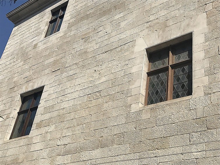 Serboniu treballs façana Diputació