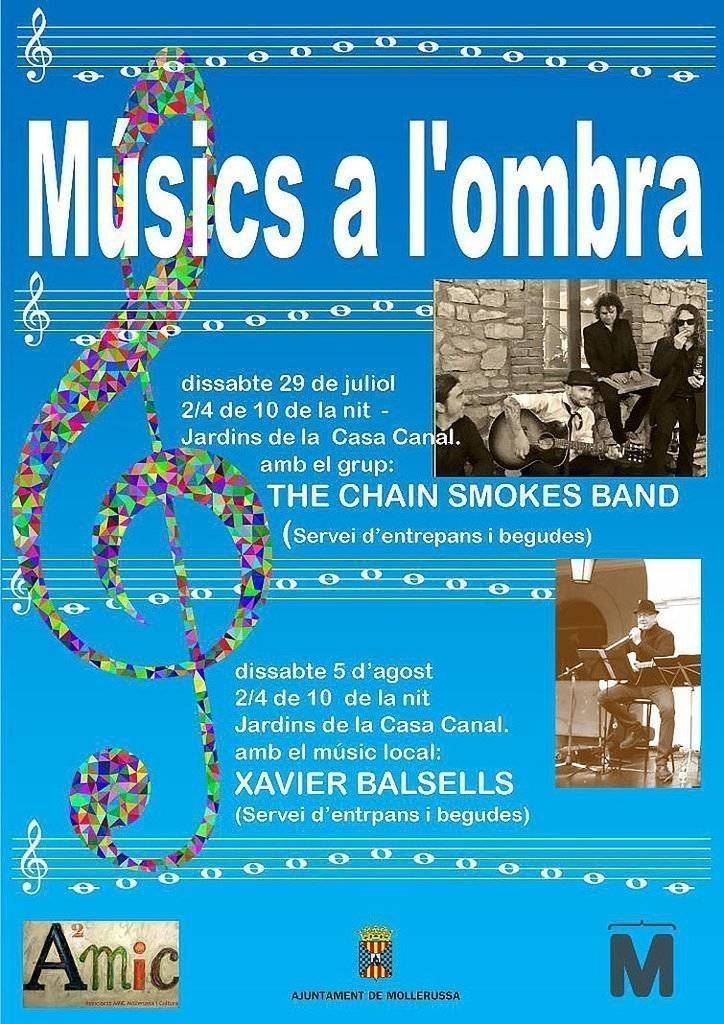 Activitats aMIC 2 LLUNES D'ESTIU muasica texte 2