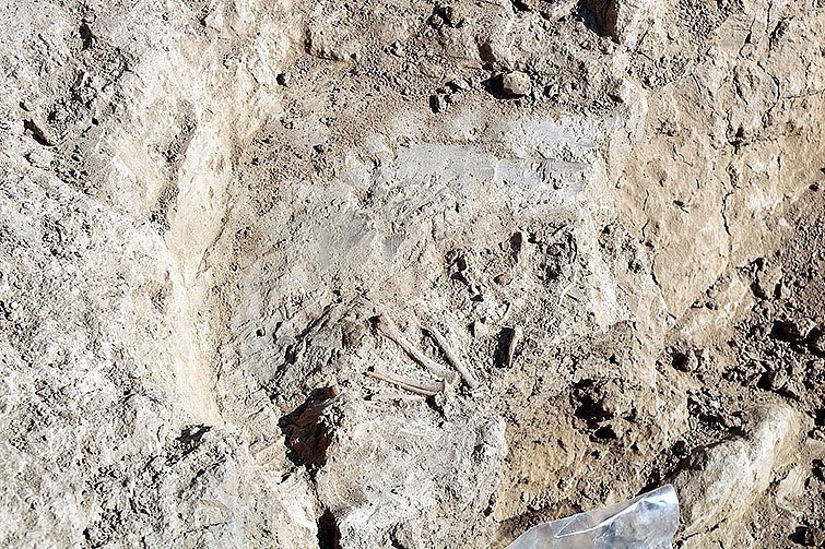 vilars d'arbeca acn 5 texte 2