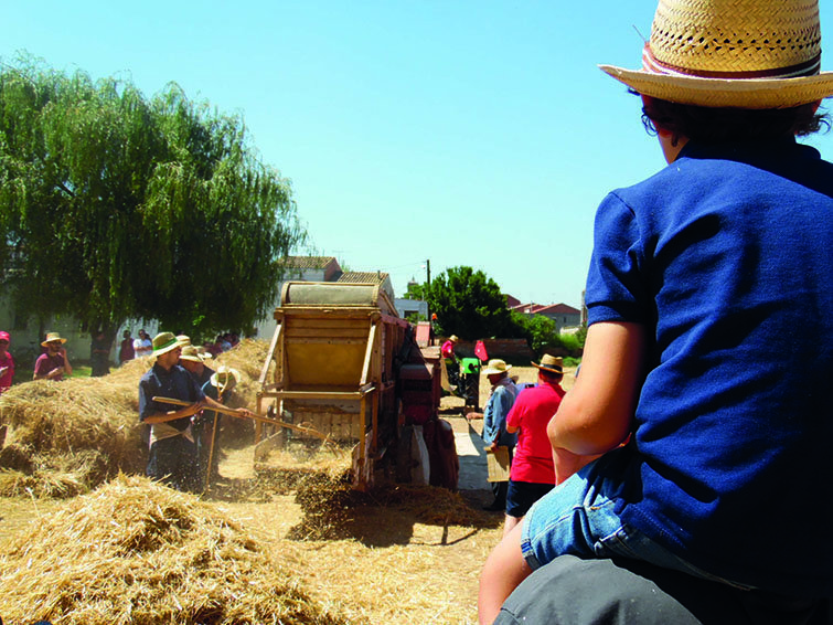 La Festa del Batre atrau centenars de persones (7) texte 2