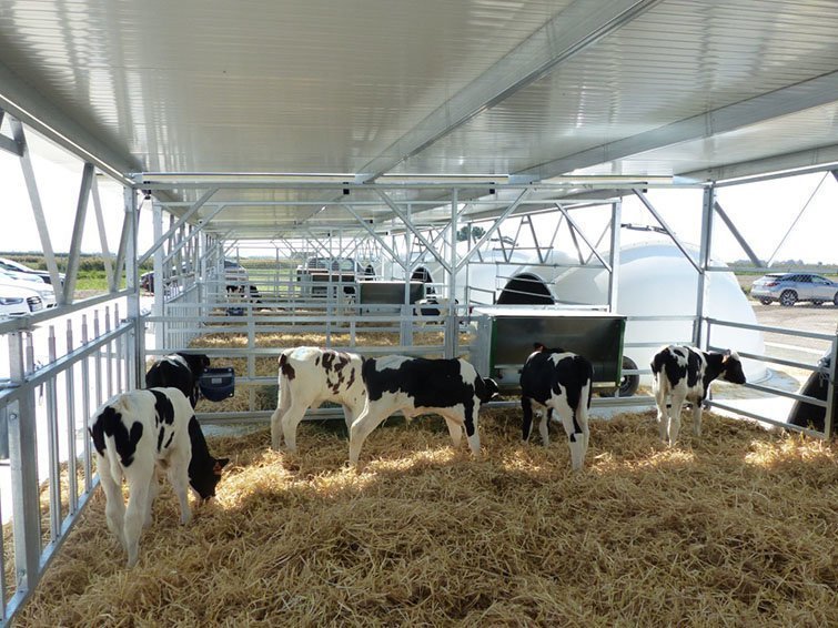 Visita a la granja de la Cooperativa d'Ivars d'Urgell