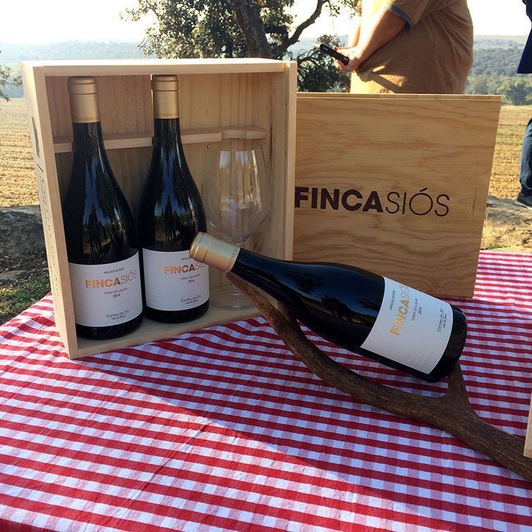 Vi de Finca de Costers del Sió
