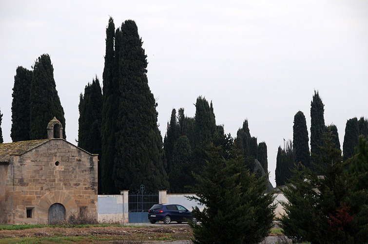 imatge de les instal·lacions actuals del cementiri del Palau d'Anglesola 2