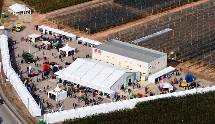 Imatge de la Jornada Fructícola de l'IRTA a Mollerussa texte