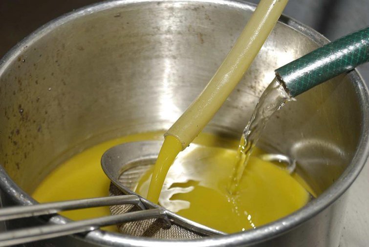 Producció d'oli a Catalunya