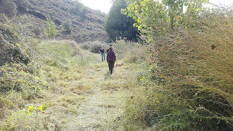 Cubells recupera el Pouet 3 texte