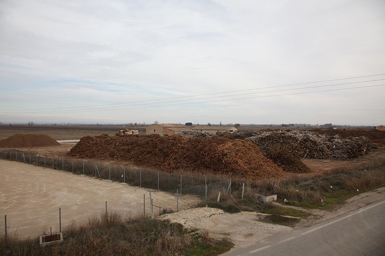 Terreny on es projectava la construcció de la planta de biomassa interior