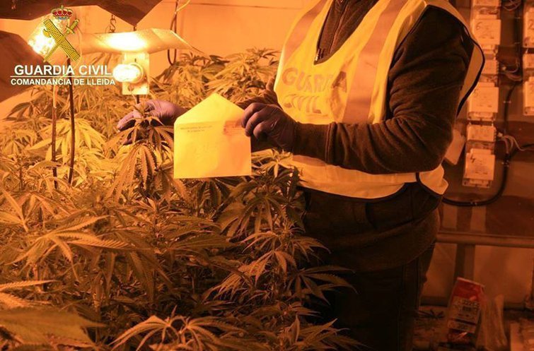 Actuació de la Guàrdia Civil a la casa a Torà