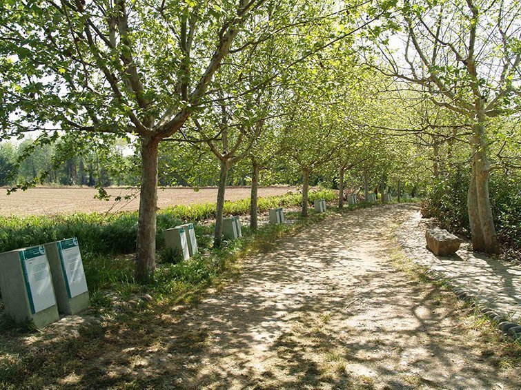 Imatge del Parc de les Franqueses a Balaguer