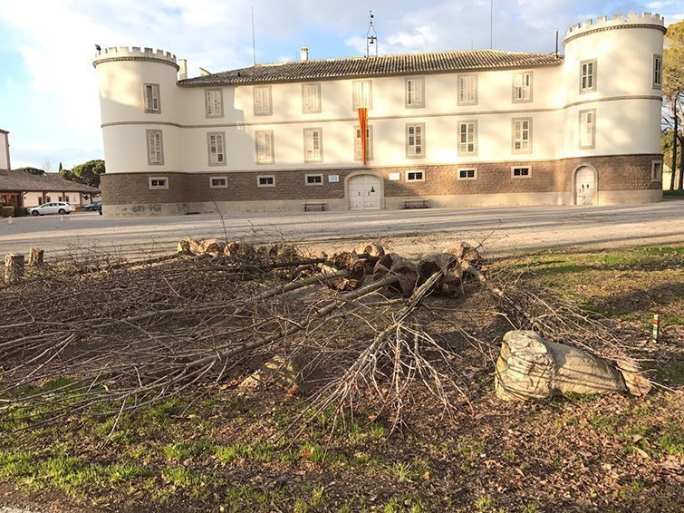 L'edifici del Castell del Remei amb els arbres per plantar
