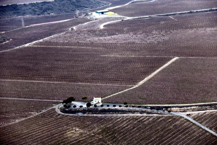 Imatges dels fruiters florits des de l'aire interior 1