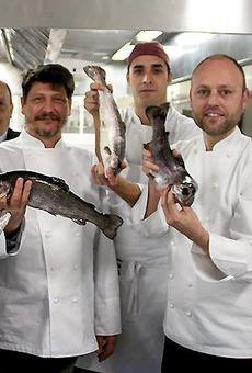 Activitats en la Mostra de la Truita d'Alfarràs 1