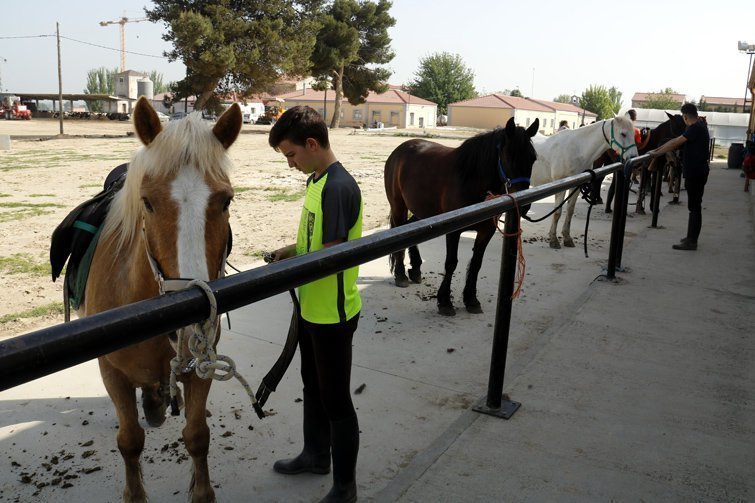 Pla obert de la quadra de l'INS Mollerussa amb alumnes cuidant els cavalls, el 24 d'abril de 2018. (Horitzontal)
